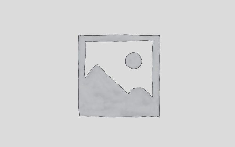 Excepteur sint occaecat